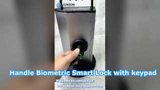 Cerradura inteligente biométrica con manija interior